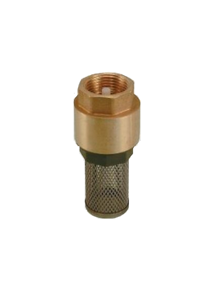 Cr pine D aspiration Avec Tamis En Inox PN 16 1 Bola Systems