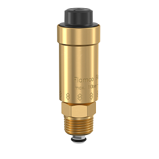 Vanne de purge automatique Flamco Flexvent E R 1/2" (89000)